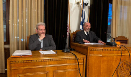 Καλοκαιρινός Ρυακιωτάκης