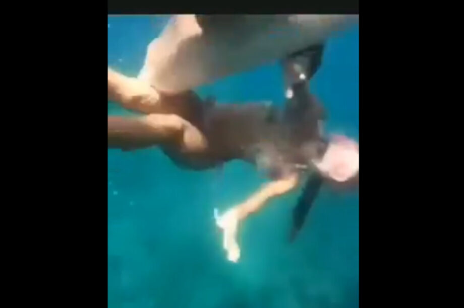 Βραζιλία: Η σοκαριστική στιγμή που καρχαρίας επιτίθεται σε καταδύτρια (βίντεο)