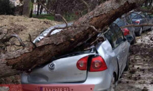 Δέντρο καταπλάκωσε αυτοκίνητο στη Πάτρα – Δείτε φώτο