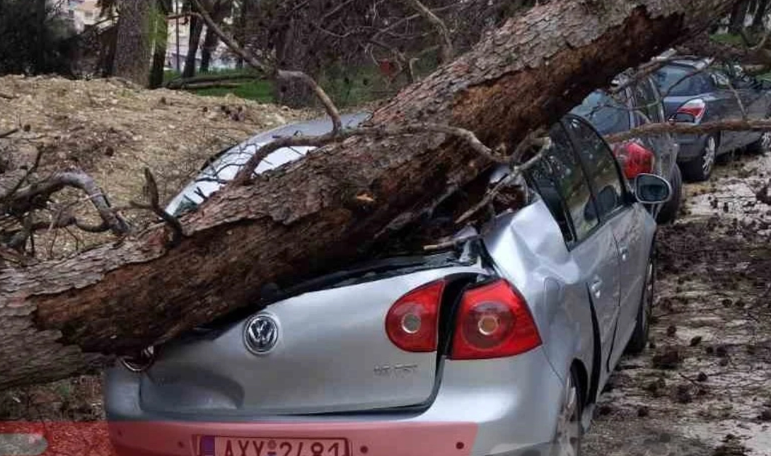 Δέντρο καταπλάκωσε αυτοκίνητο στη Πάτρα – Δείτε φώτο