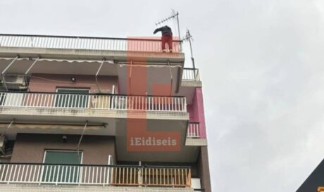 γυναικα κορυδαλλος