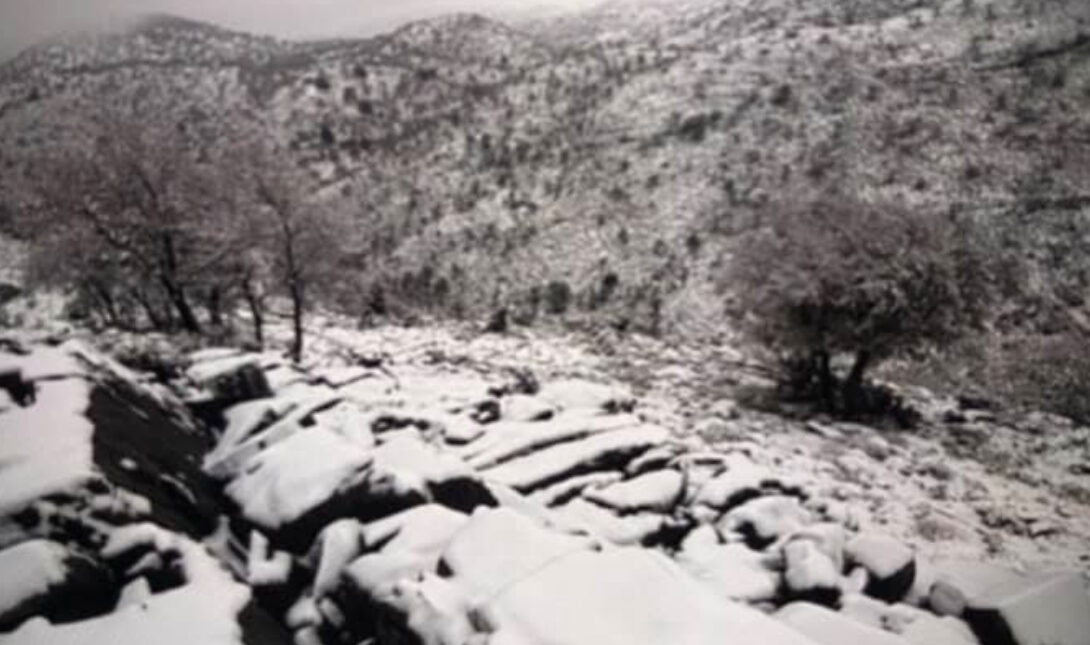 Πρωτοχρονιάτικη απόδραση στο Λιβαδιώτικο αόρι!