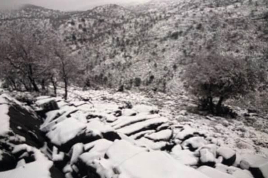 Πρωτοχρονιάτικη απόδραση στο Λιβαδιώτικο αόρι!