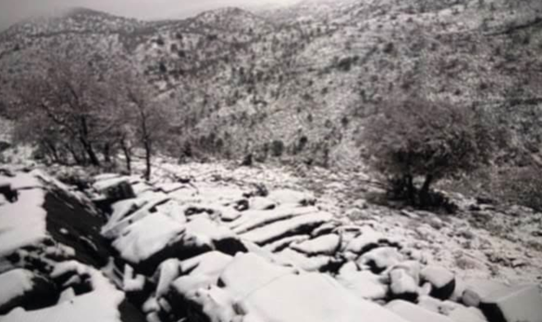 Πρωτοχρονιάτικη απόδραση στο Λιβαδιώτικο αόρι!