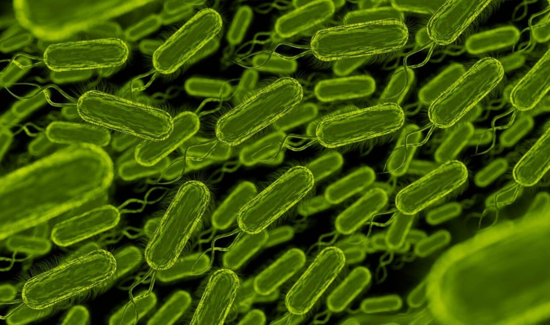 Τι είναι η αλλαντίαση;