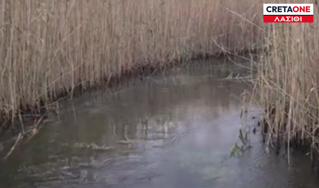 Άγιος Νικόλαος: Μειωμένη η στάθμη του νερού στον Αλμυρό ποταμό (βίντεο)