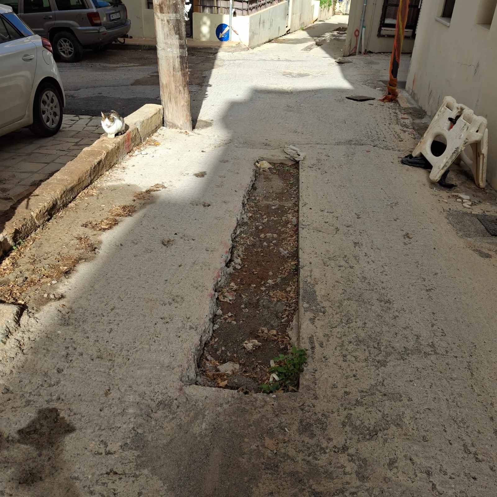 έργα Δελημάρκου