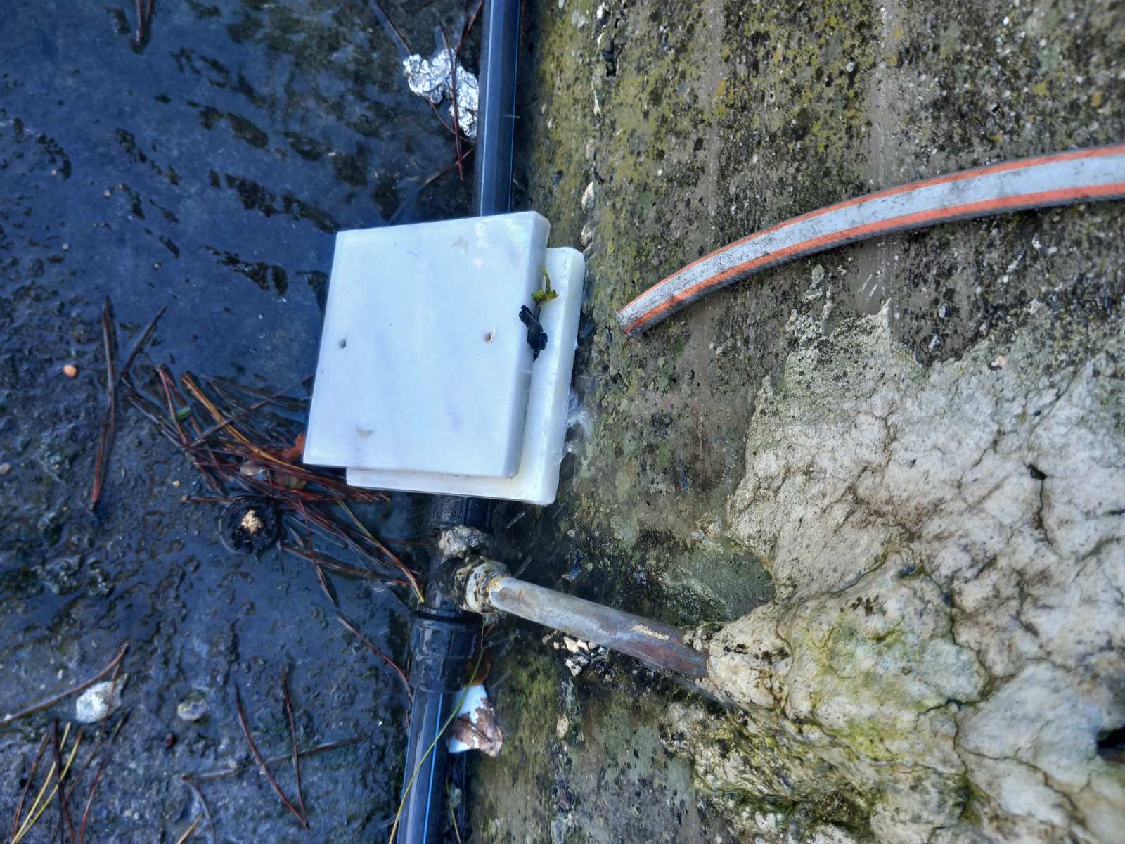 νερό νεκροταφείο