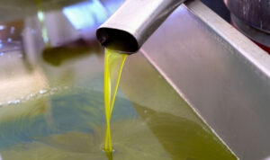 Κρήτη: Σοκ στις τιμές του ελαιολάδου – Πτώση έως 31%!