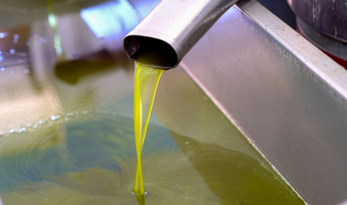 Κρήτη: Σοκ στις τιμές του ελαιολάδου – Πτώση έως 31%!