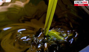 Κρήτη: Οι μηδενικές επιδοτήσεις από τον ΟΠΕΚΕΠΕ που φέρνουν την… εγκατάλειψη στην ελαιοπαραγωγή! – «Με τα 5 ευρώ δεν βγαίνει ο παραγωγός»