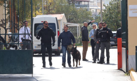 Ευελπίδων Σκύλος