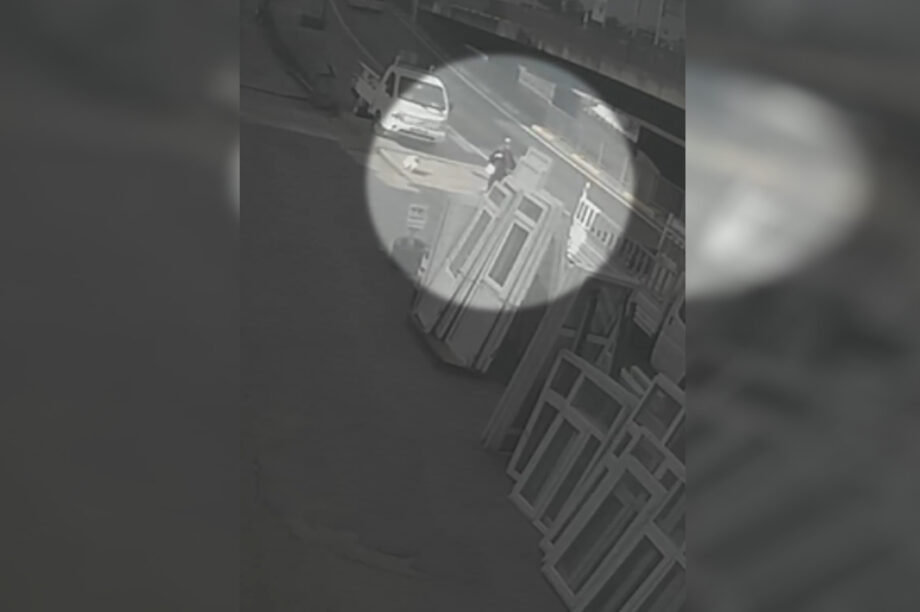 Γυναίκα χτυπήθηκε από λεωφορείο στην προσπάθειά της να γλιτώσει από αδέσποτο σκύλο (βίντεο)