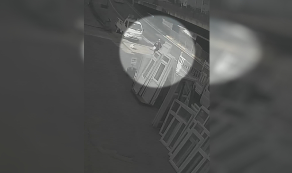 Γυναίκα χτυπήθηκε από λεωφορείο στην προσπάθειά της να γλιτώσει από αδέσποτο σκύλο (βίντεο)