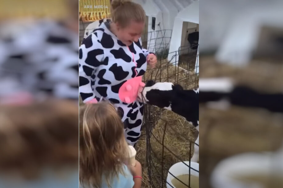 Μοσχαράκι προσπάθησε να θηλάσει από γυναίκα ντυμένη αγελάδα (βίντεο)