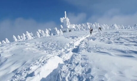 Ιαπωνία Χιόνια
