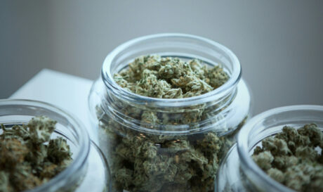 ΚΑΝΝΑΒΗ ΝΕΟ