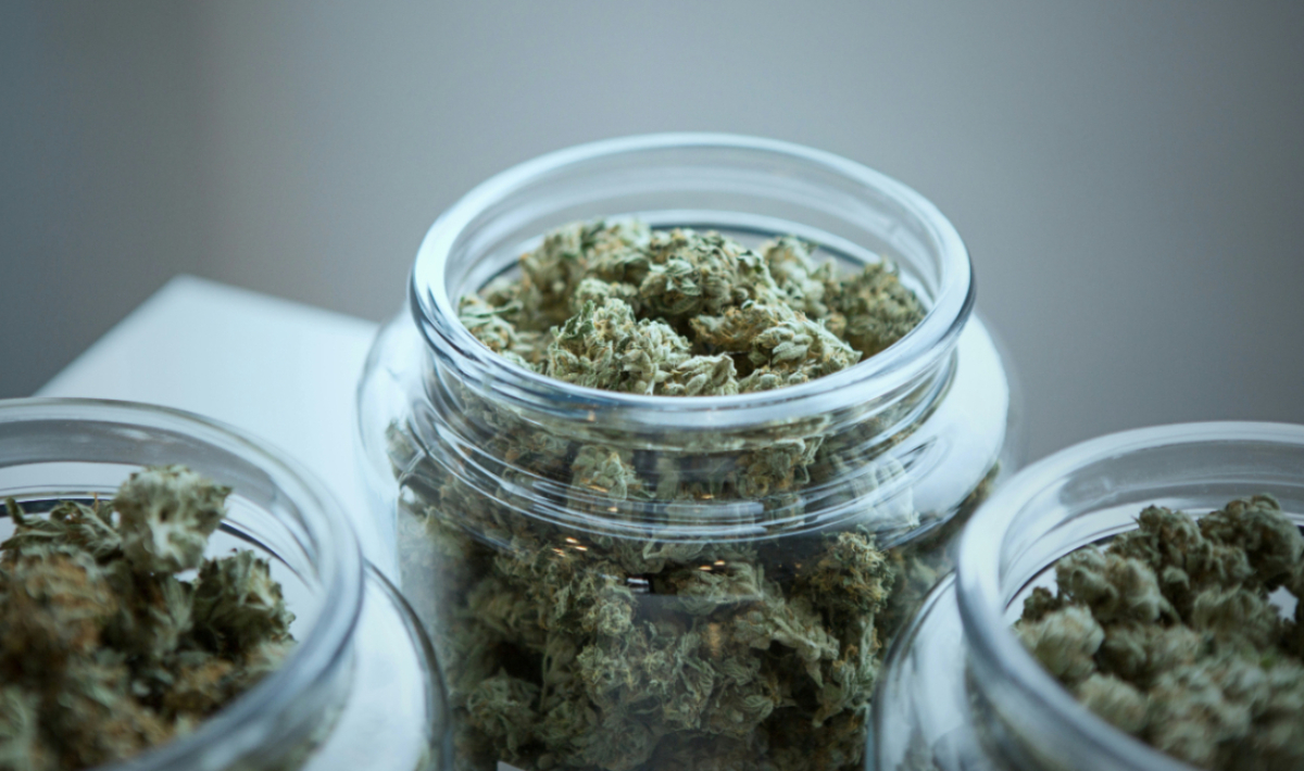 ΚΑΝΝΑΒΗ ΝΕΟ