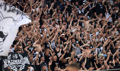 Snakes ΟΦΗ κόσμος ΝΕΟ