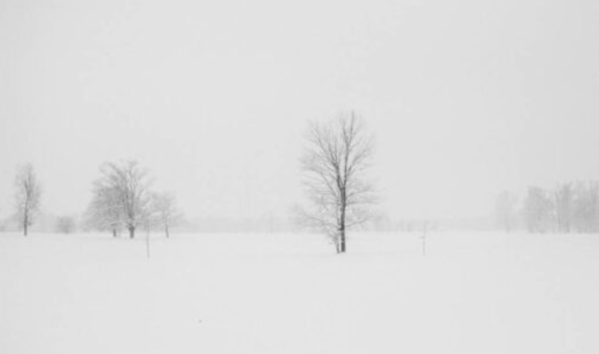 Απαγόρευση της κυκλοφορίας στη Νέα Υόρκη, εν αναμονή σφοδρής χιονόπτωσης