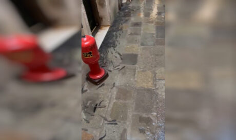 Βενετία Ψάρια