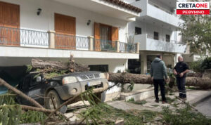Ρέθυμνο: Ο αέρας «σαρώνει» την πόλη – Δέντρα και κλαδιά πέφτουν παντού (βίντεο, φώτο)