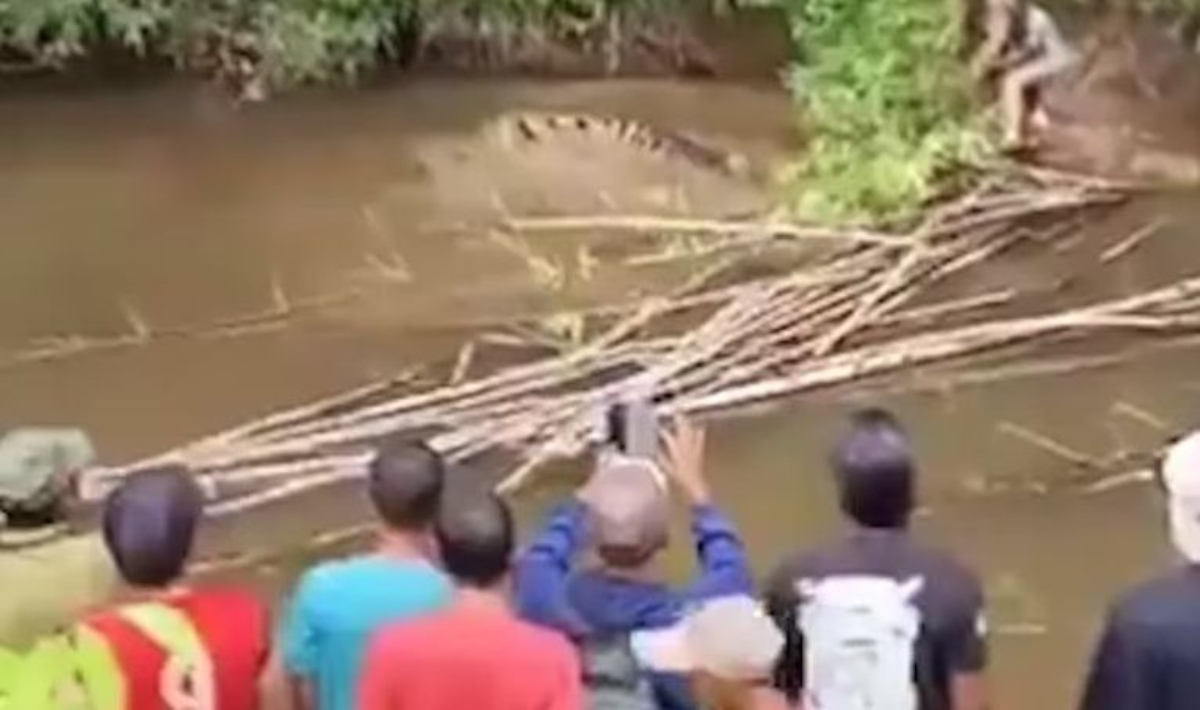 Ινδονησία: Κροκόδειλος 4 μέτρων επιτέθηκε σε 35χρονη που μάζευε μύδια σε ποτάμι (βίντεο)