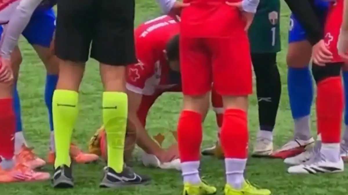 Πέθανε ο γλάρος που καταρρίφθηκε από βολέ τερματοφύλακα – Τον πέταξαν στα σκουπίδια, περαστικός τον βρήκε και τον έθαψε