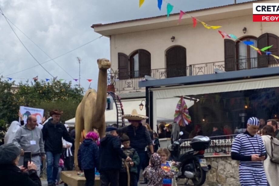 ΚΑΜΗΛΑ ΡΕΘΥΜΝΟ