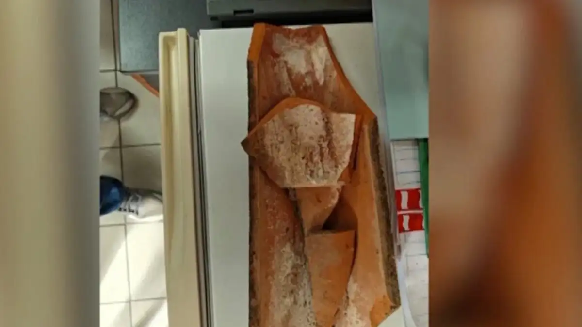 Αναστάτωση σε σχολείο: Kεραμίδι έπεσε στο προαύλιο όπου έπαιζαν μαθητές!