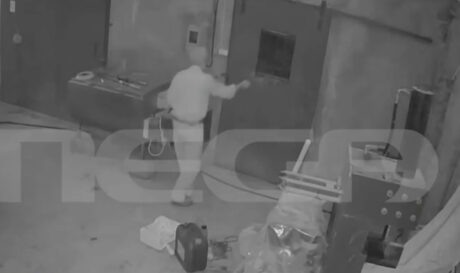 ΚΤΗΝΟΤΡΟΦΟΣ ΡΕΘΥΜΝΟ