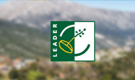 Δήμος Μινώα Πεδιάδας