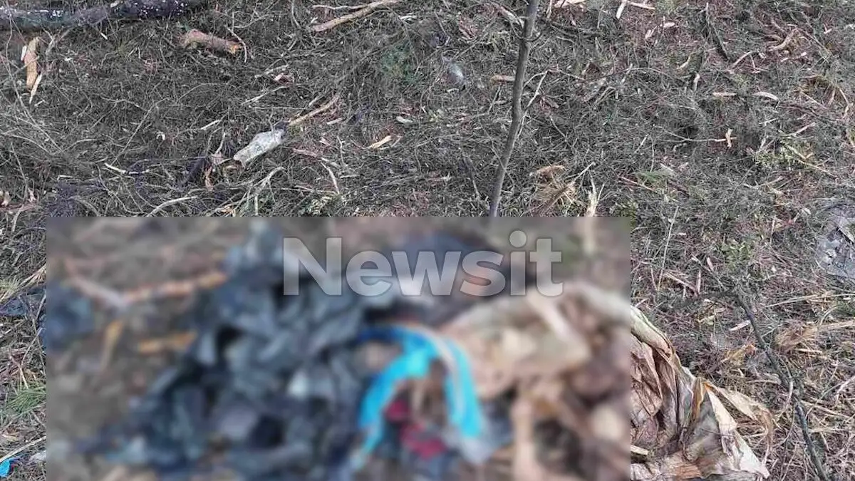 Χαλκιδική: Βρέθηκε σακούλα με ανθρώπινα οστά – «Ήταν μέσα σε βαλίτσα» περιγράφει ο πρόεδρος του Πευκοχωρίου που την βρήκε