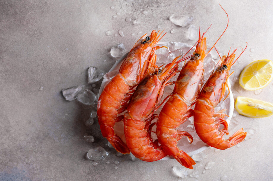 γαριδεσ νεο