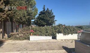 Ηράκλειο: Κυπαρίσσι έπεσε πάνω σε τάφους στο νεκροταφείο των Βουτών (φωτογραφίες)