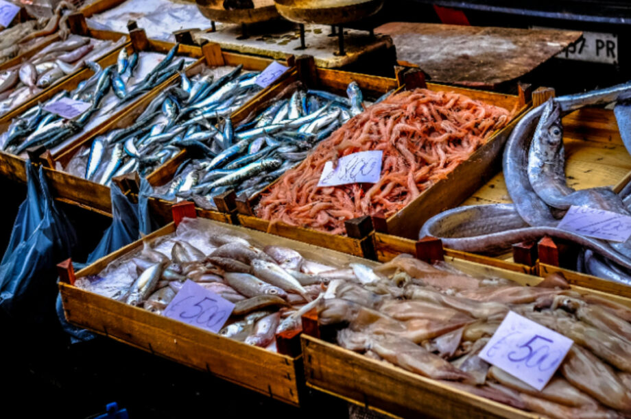 ΘΑΛΑΣΣΙΝΑ ΨΑΡΙΑ