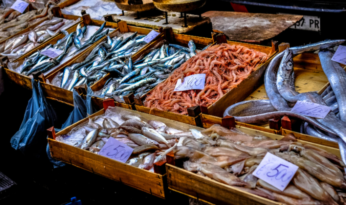 Κρήτη: «Βροχή» οι καταγγελίες για υπερβολικό πάγο σε κατεψυγμένα θαλασσινά