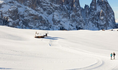 ΧΙΟΝΟΔΡΟΜΙΚΟ ΚΕΝΤΡΟ