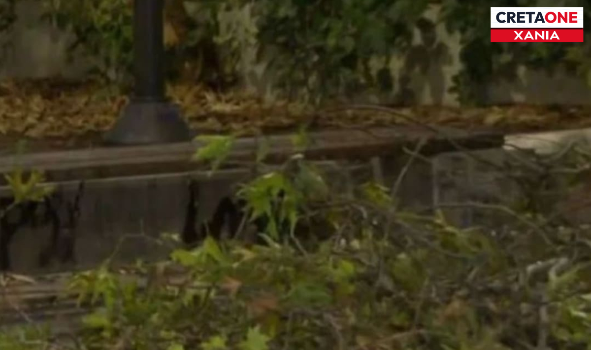 Κρήτη: Έπεσε δέντρο λόγω της κακοκαιρίας σε σχολείο των Χανίων