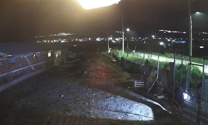 Θρασύτατη κλοπή σε μαντρί: Κουκουλοφόροι άρπαξαν πρόβατα (βίντεο)