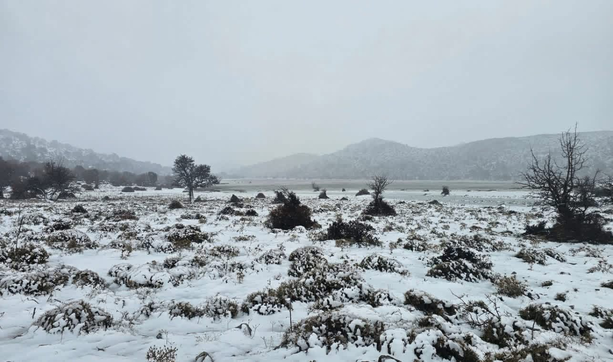 Ηράκλειο: Μαγικές εικόνες στον Ομαλό: Το χιόνι «έντυσε» την Κρήτη στα λευκά