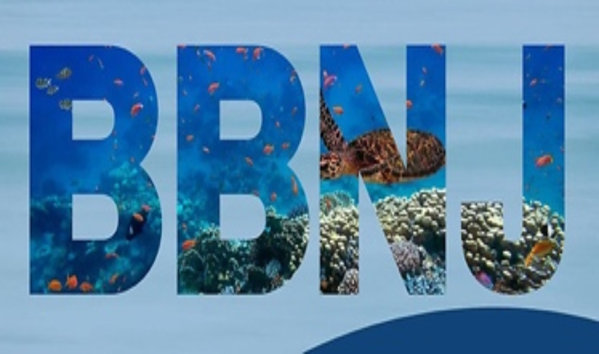 Επίσημη έναρξη ισχύος της Ιστορικής Συμφωνίας “Biodiversity Beyond National Jurisdictio” (BBNJ)