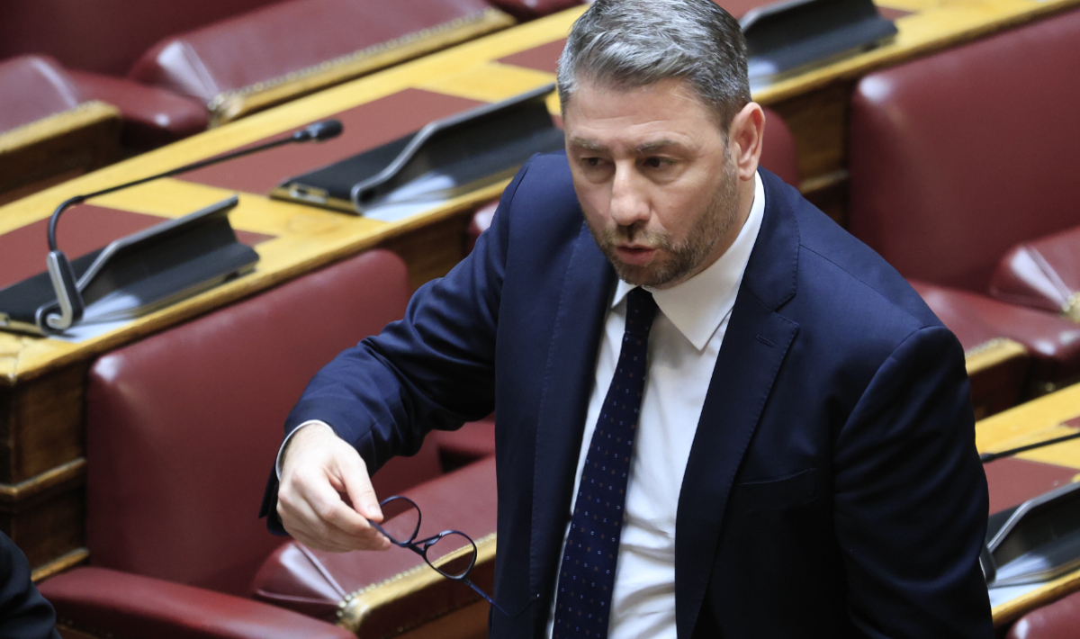 Ανδρουλάκης Βουλή ΝΕΟ