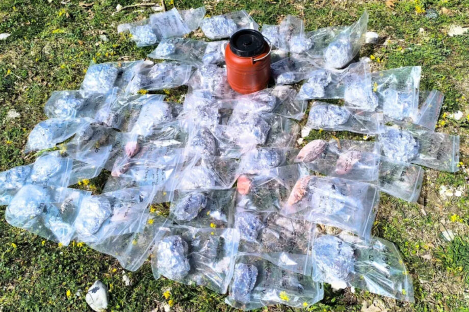 Κτηνωδία στις πλαγιές του Γράμμου: Εντοπίστηκαν νεκρά ζώα και 157 φόλες!