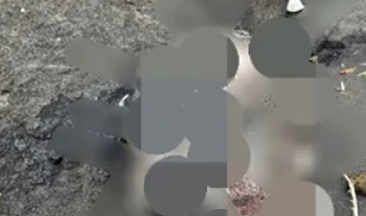 Φρίκη στο Μπαλί! Βρέθηκε κομμένο κεφάλι και άκρα που πιθανόν ανήκουν στον γιο Ουκρανού μεγιστάνα που είχε απαχθεί (βίντεο)