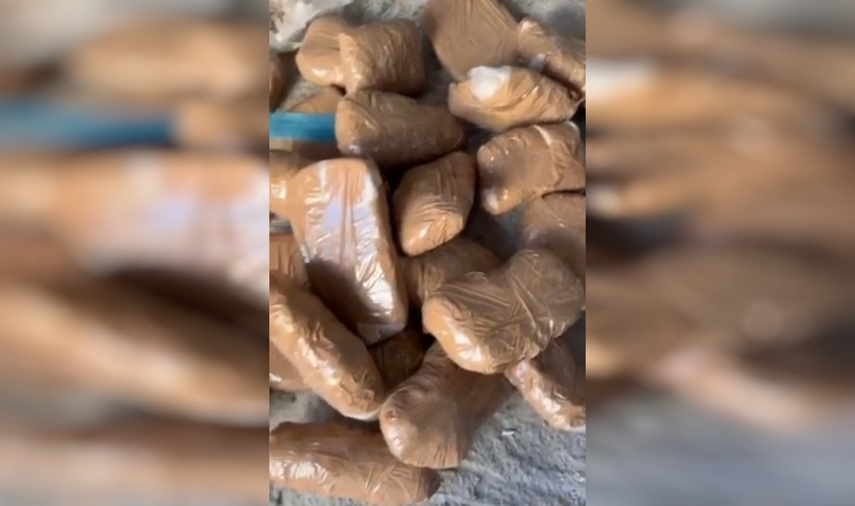 Ρέντη: Εντοπίστηκαν σε κρύπτη 13,5 κιλά ηρωίνης! (βίντεο)
