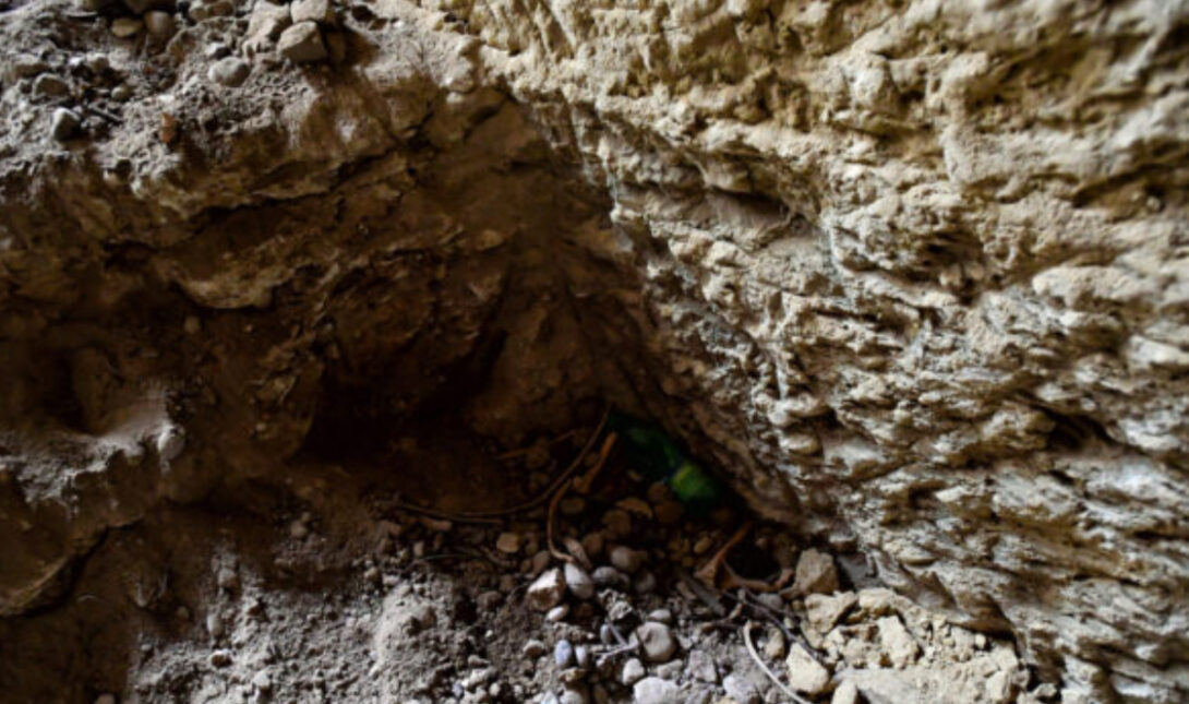 ΚΑΤΑΦΥΓΙΟ ΚΑΤΑΦΥΓΙΑ