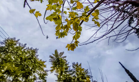 Καιρός Άνοιξη