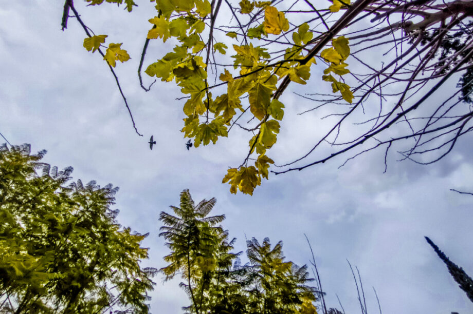 Καιρός Άνοιξη