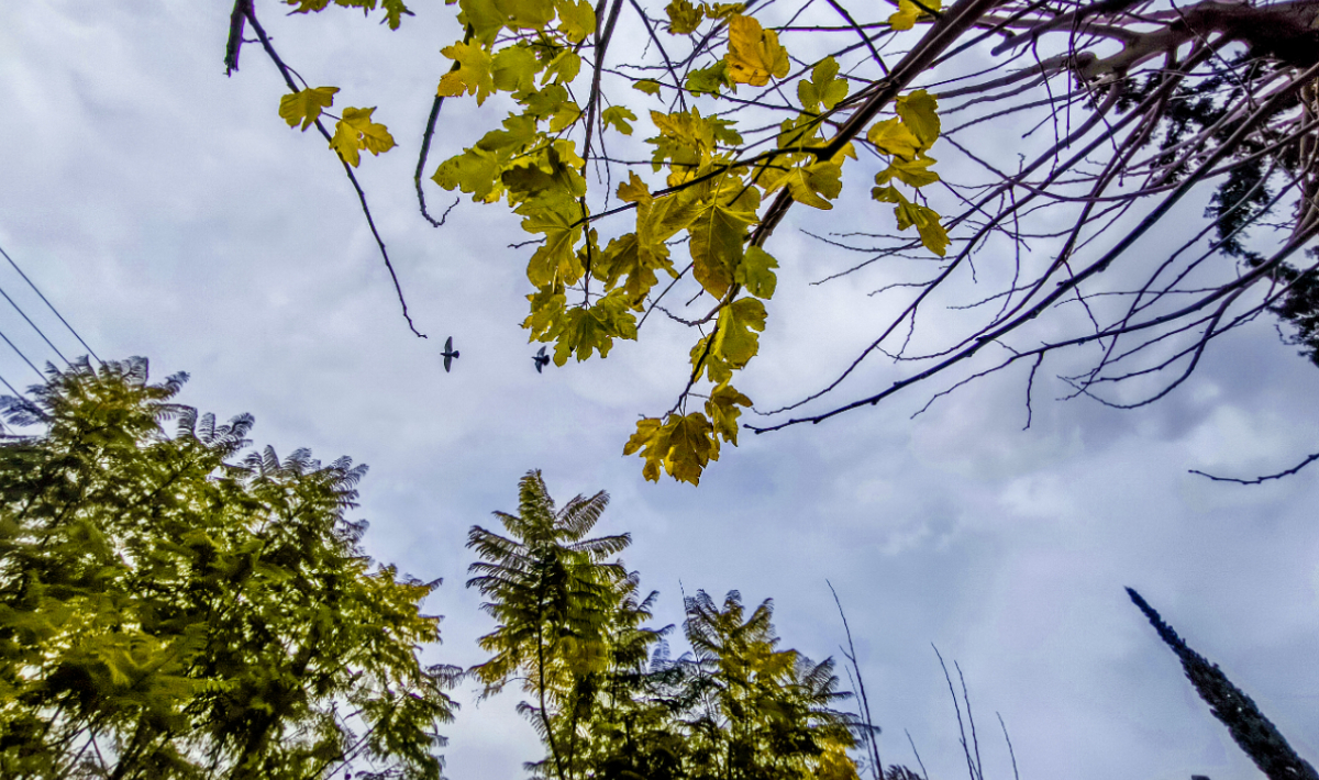 Αίθριος καιρός σήμερα σε όλη την Κρήτη
